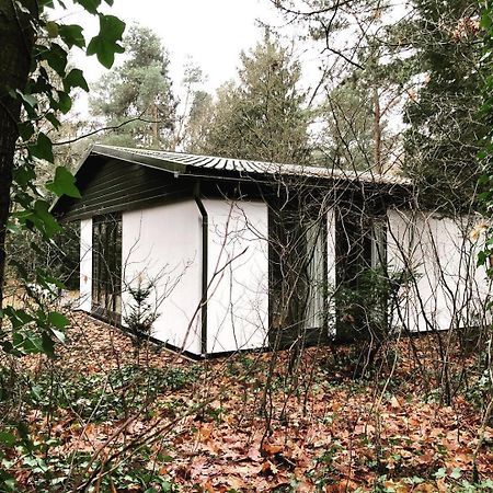Www Huis Op De Veluwe Nl Nunspeet Bagian luar foto