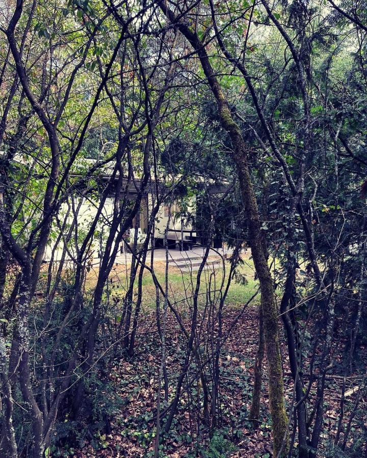 Www Huis Op De Veluwe Nl Nunspeet Bagian luar foto